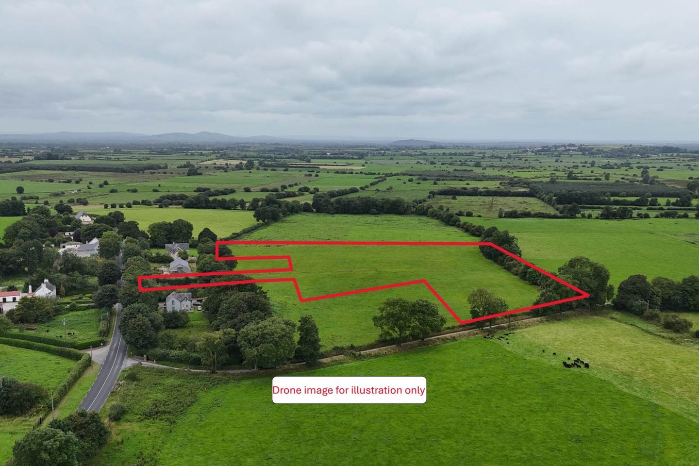 Grange, Kilmallock, Co. Limerick