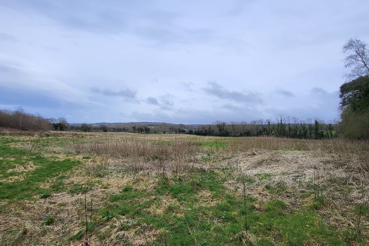 Commercial property for sale in Currabeg, Kinnitty, Co. Offaly