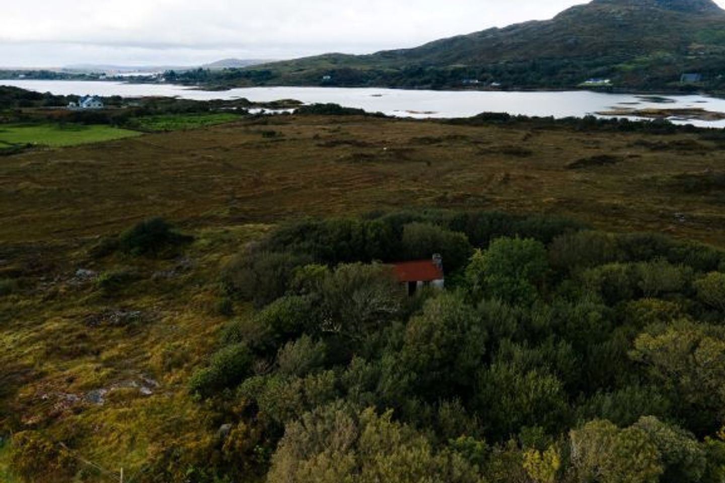 Lehanagh, Cashel, Co. Galway