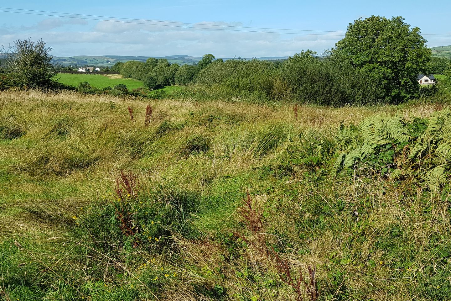 Dromree, Macroom, Co. Cork