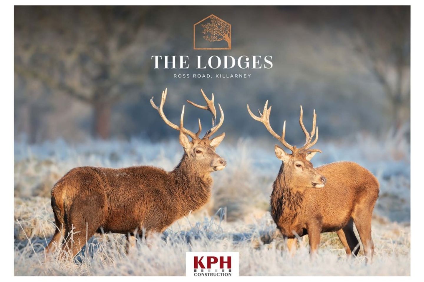 The Lodges , The Lodges , Ross road , Killarney, Co. Kerry is for sale