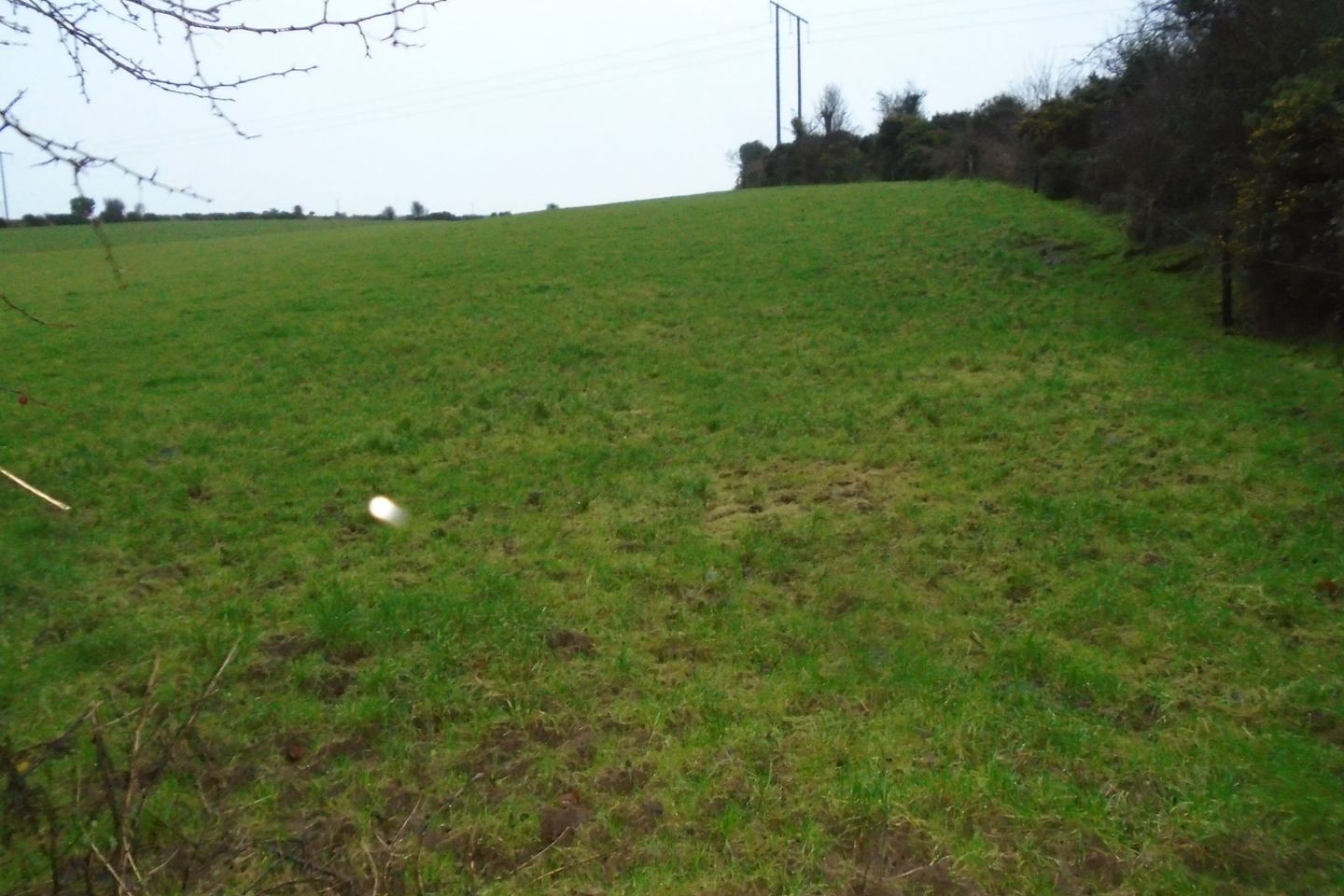 Listerlin Tullogher Mullinavat Co Kilkenny, Tullogher, Co. Kilkenny