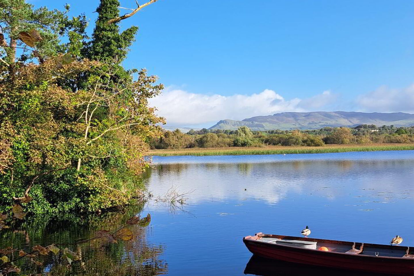 4 Doorly Park, Sligo, Co. Sligo, F91Y27K is for sale on Daft.ie