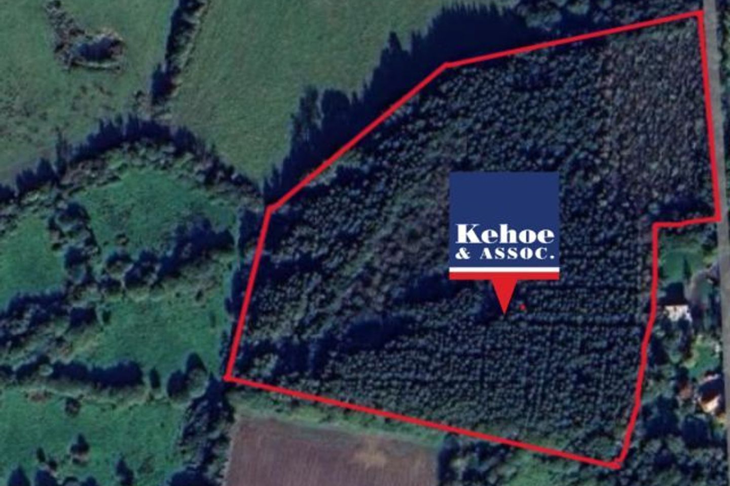 3.31 Hectares / 8.17 Acres Coolamain, Oilgate, Co. Wexford