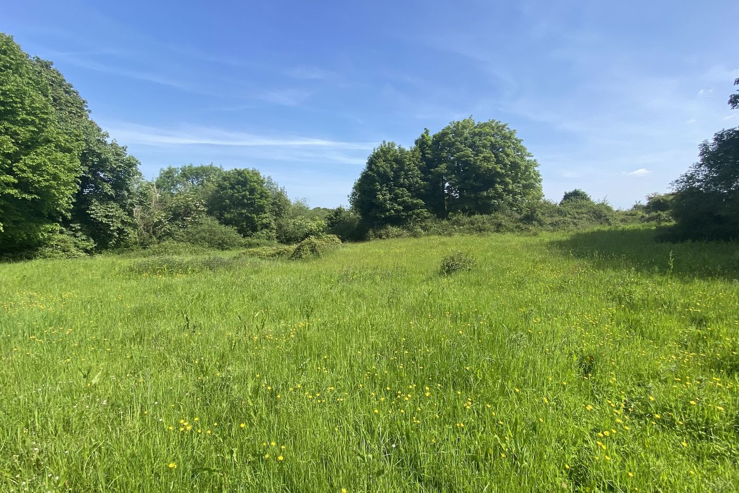 Commercial property for sale in Ballyharraghan, Ruan, Co. Clare