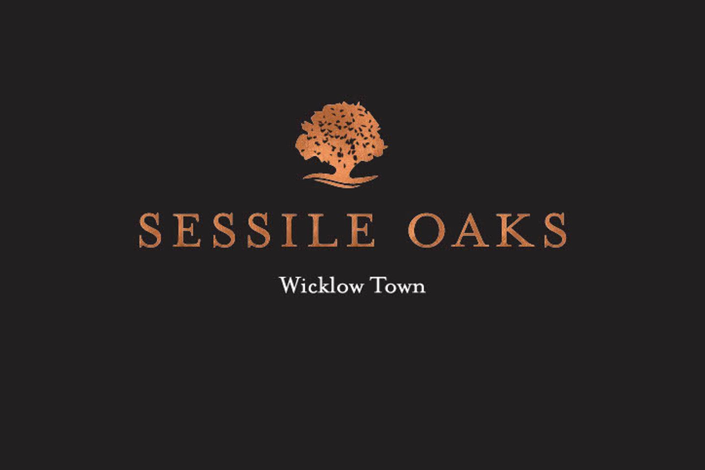 Sessile Oaks, Wicklow Town, Co. Wicklow