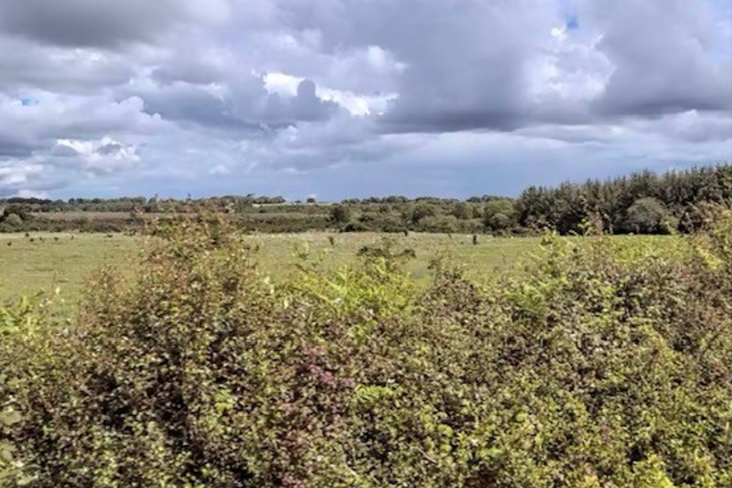 Belmont, Belmont, Co. Offaly is for sale on Daft.ie