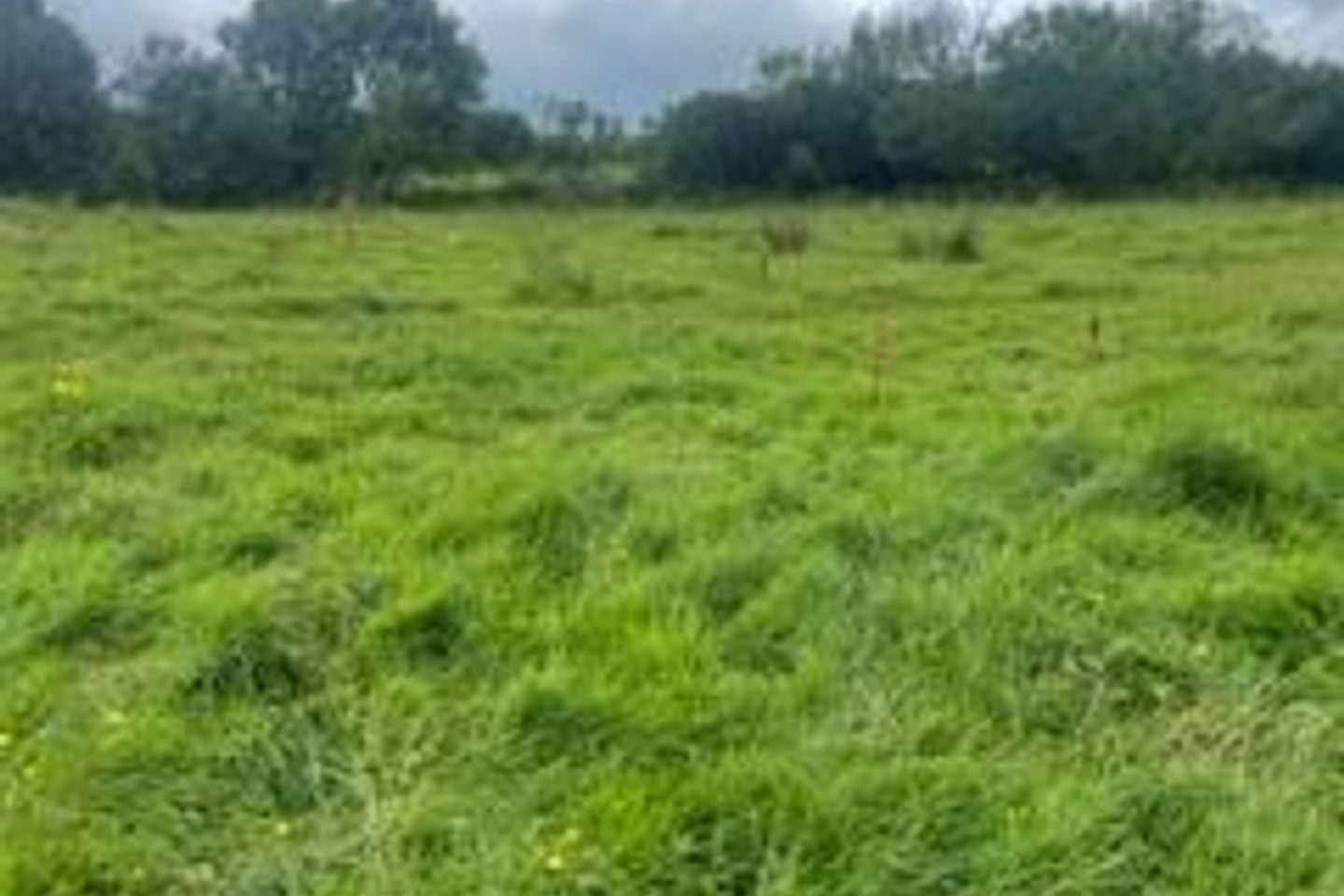 Rocklands, Castlebar, Castlebar, Co. Mayo