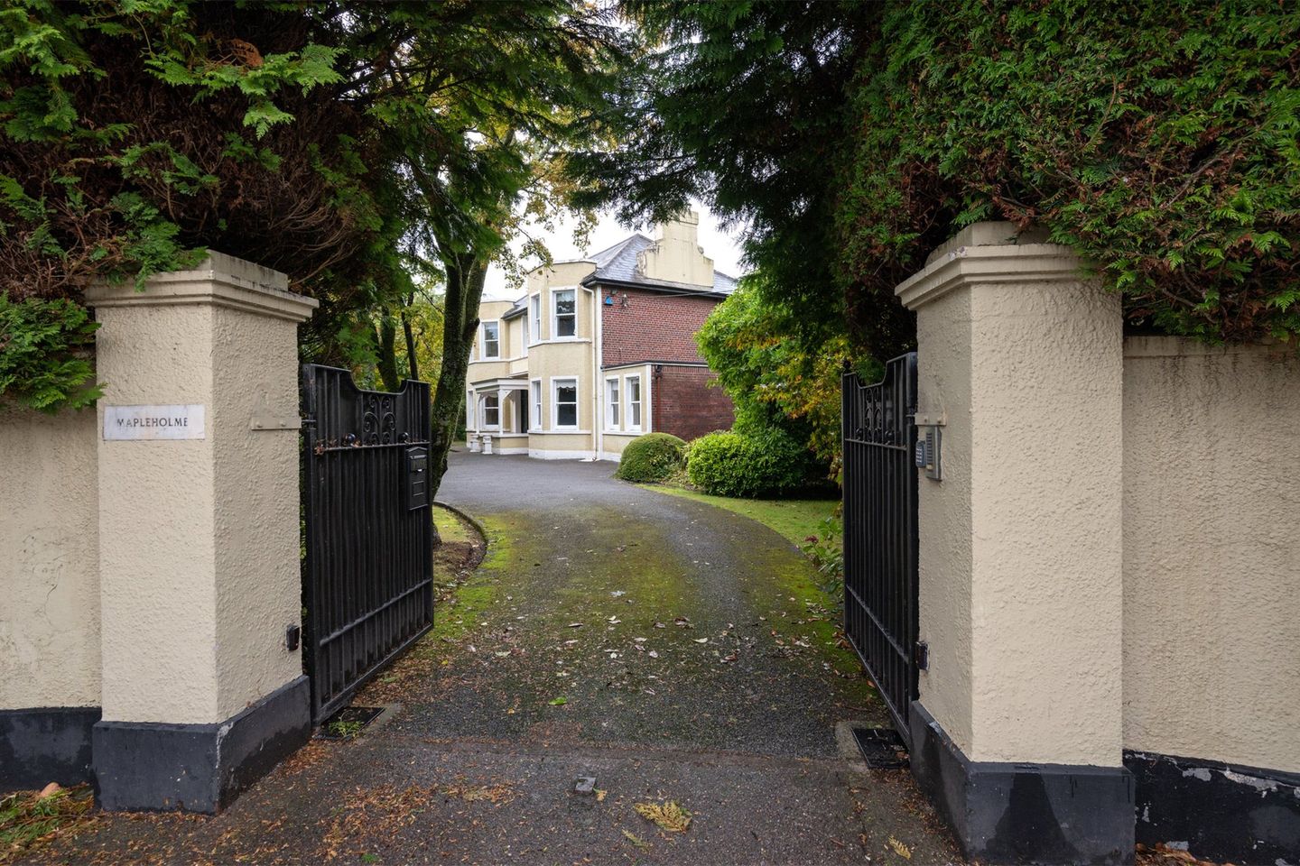 Mapleholme, College Road, Cork, Cork City Centre, T12D5W9