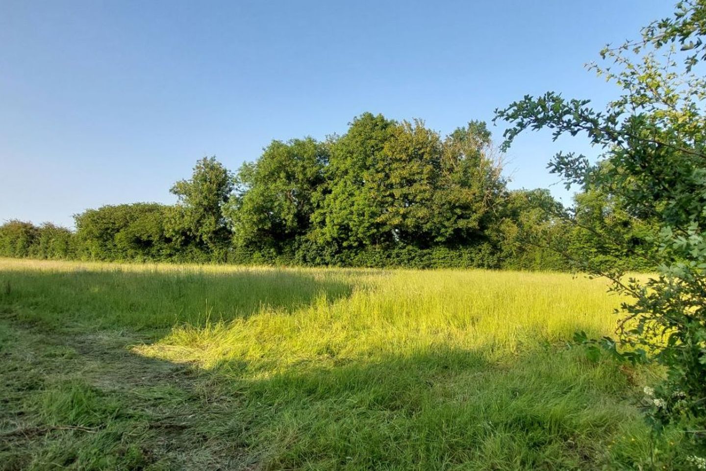 Bawnmore, Lismore, Co. Waterford, P51RX93