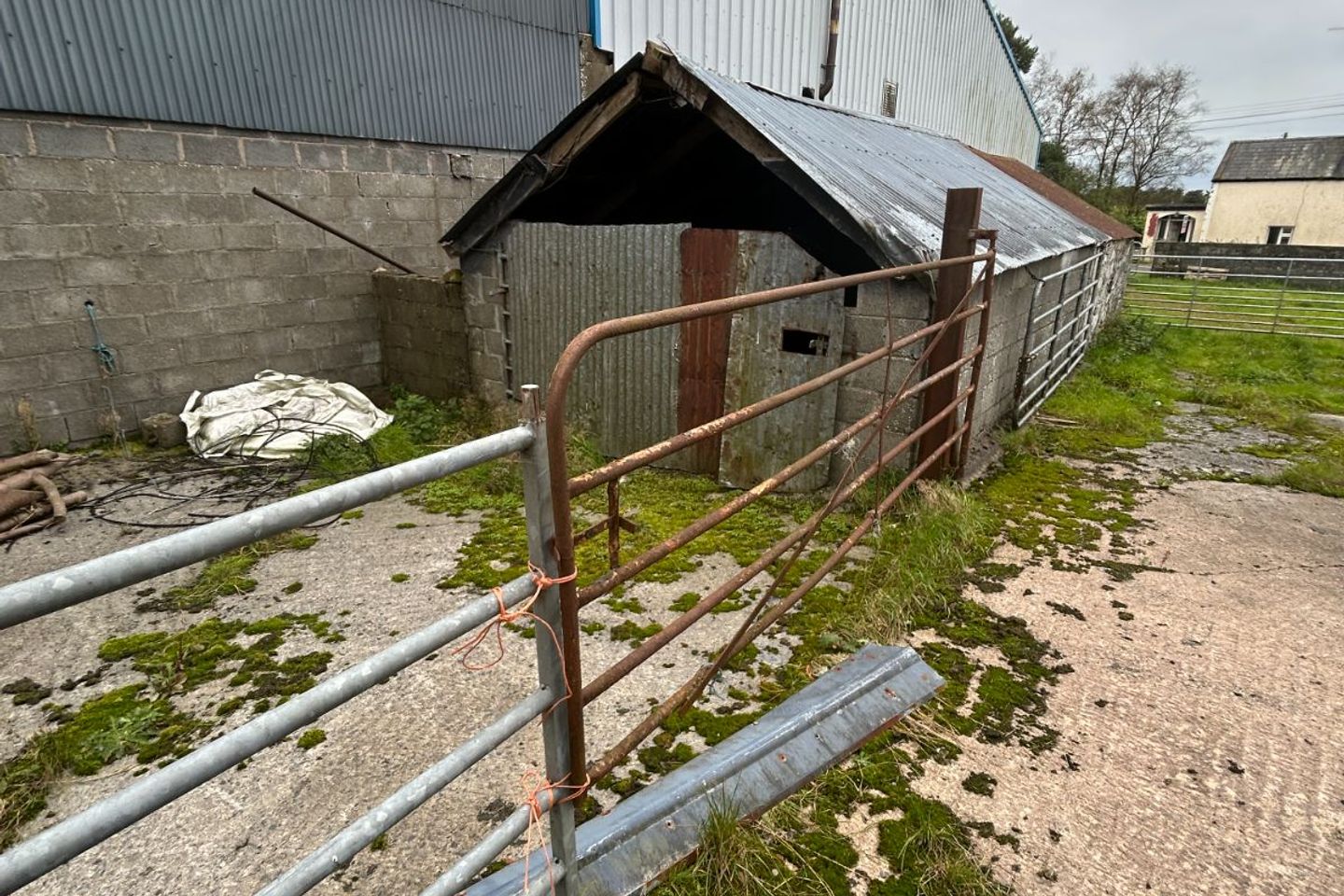 Cloghballybeg, Mullagh, Co. Cavan