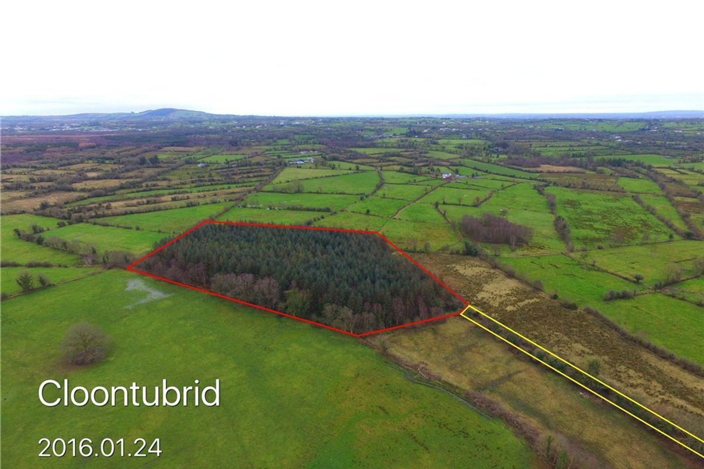 Cloontibrid Forrestry, Newtownforbes, Co. Longford