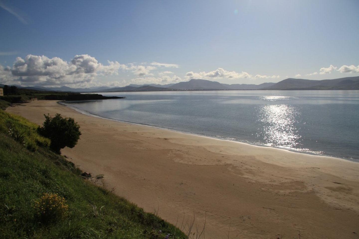 Foxglove, Dungeagan, Ballinskelligs, Co. Kerry, V23A319