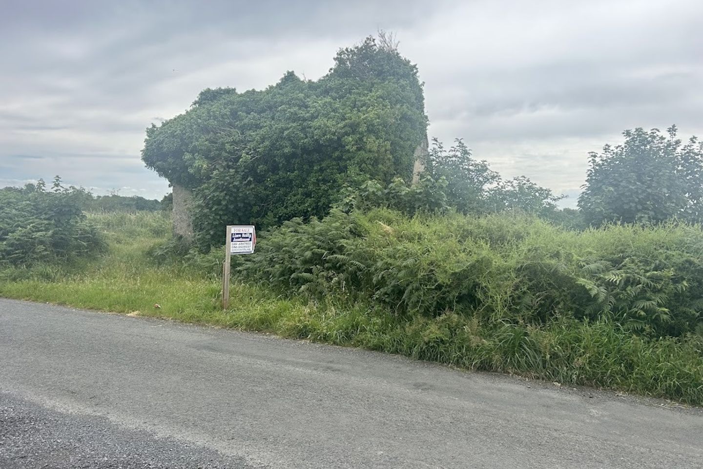 Moynagh Upper, Finnea, Co. Cavan