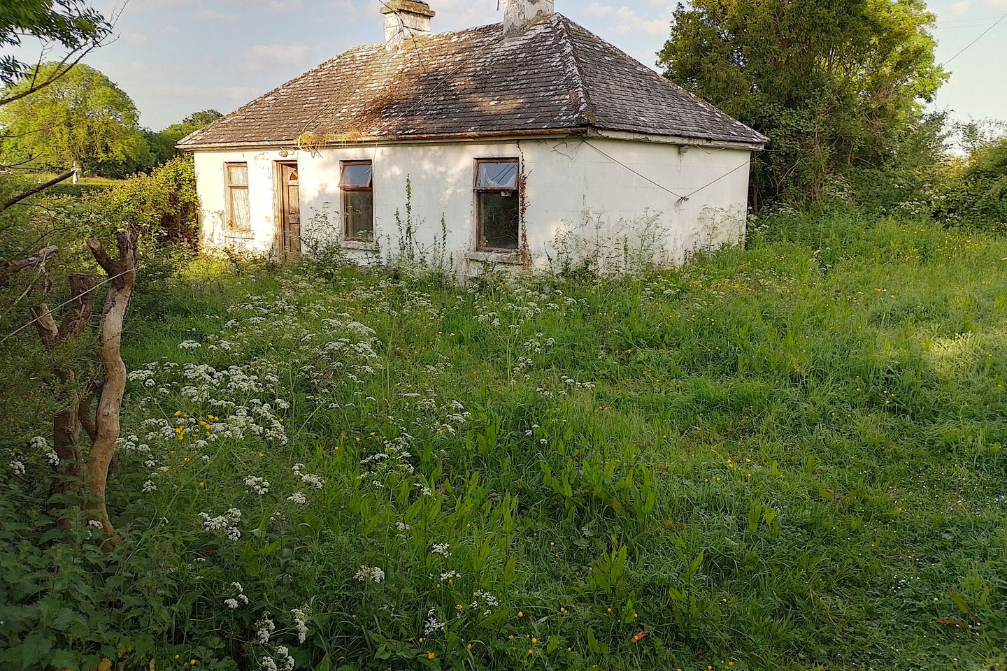 Banogue, Croom, Co. Limerick is for sale on Daft.ie