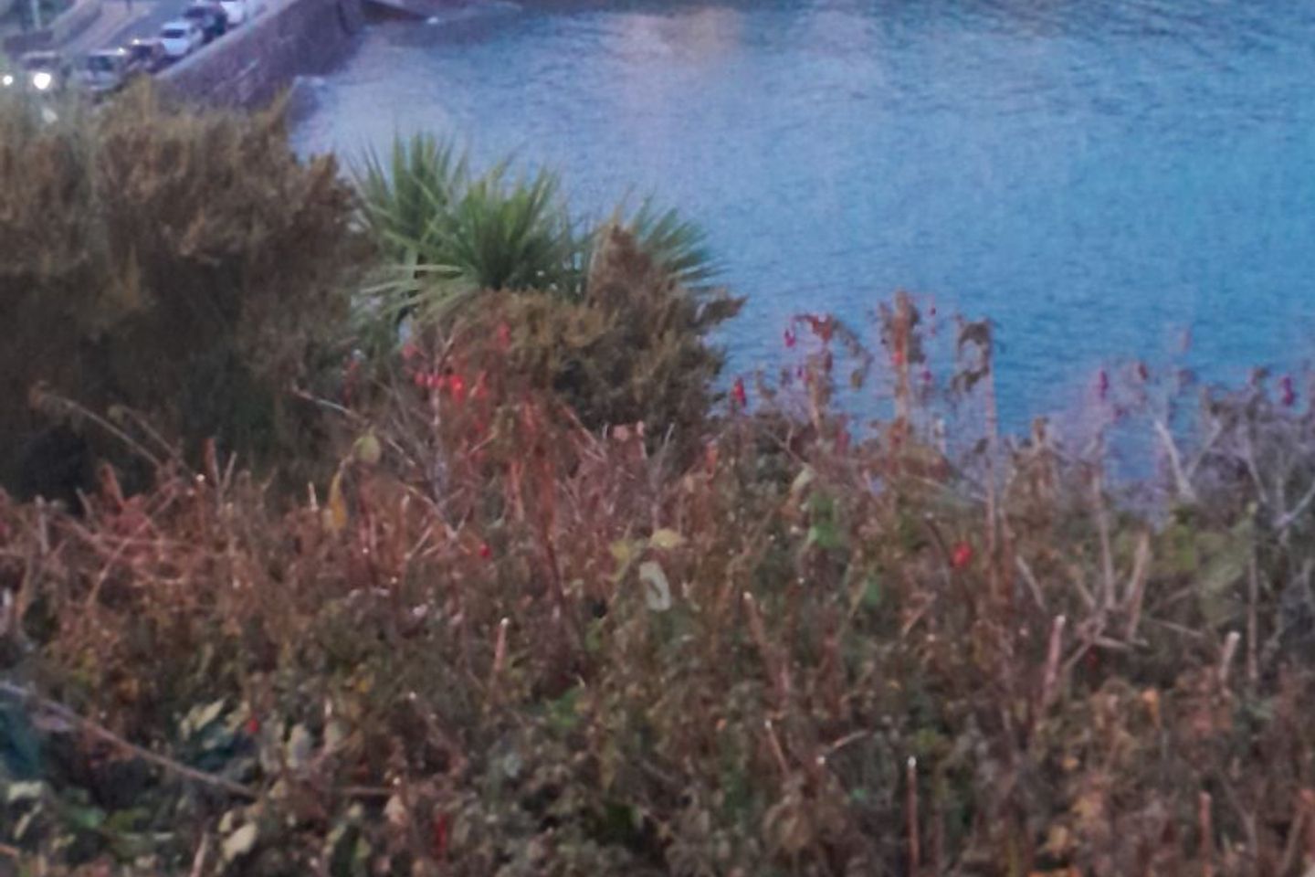 Fishermans Grove,Dunmore East,Waterford, Dunmore East, Co. Waterford