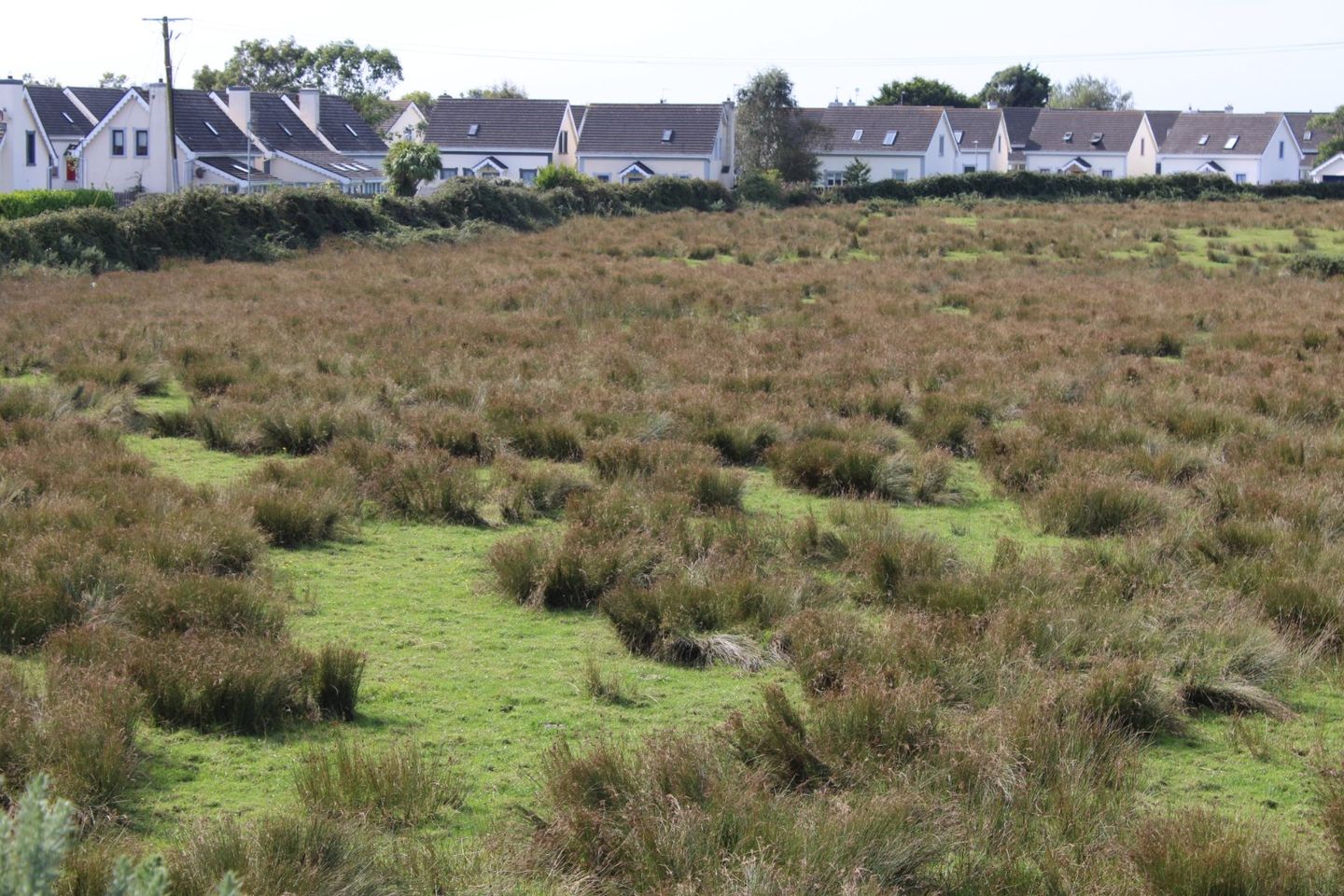 Grange Big 14.9 Ac., Rosslare Strand, Co. Wexford