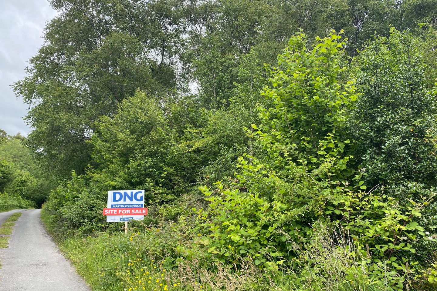 Rocks Road, Ballinahalla, Moycullen, Galway