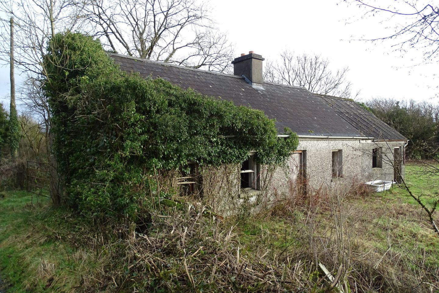 Keelogue, Borris-in-Ossory, Co. Laois