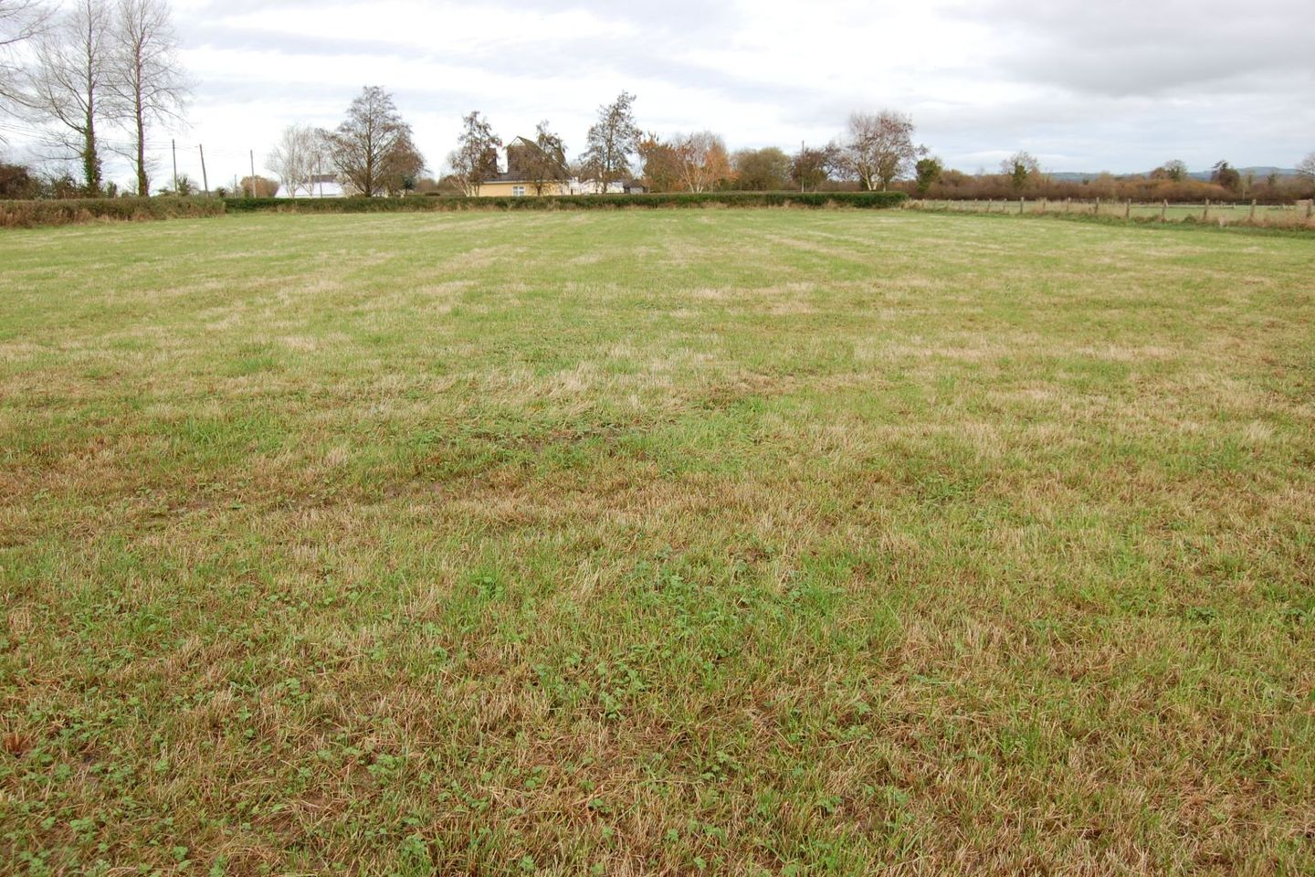 Ballyshane, Monagea, Co. Limerick