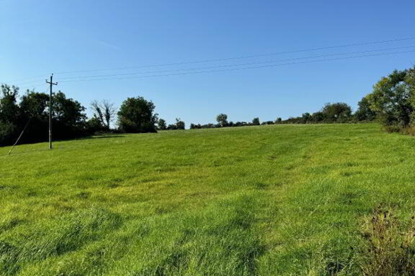 Commercial property for sale in Drumbroagh, Carrickmacross, Co. Monaghan