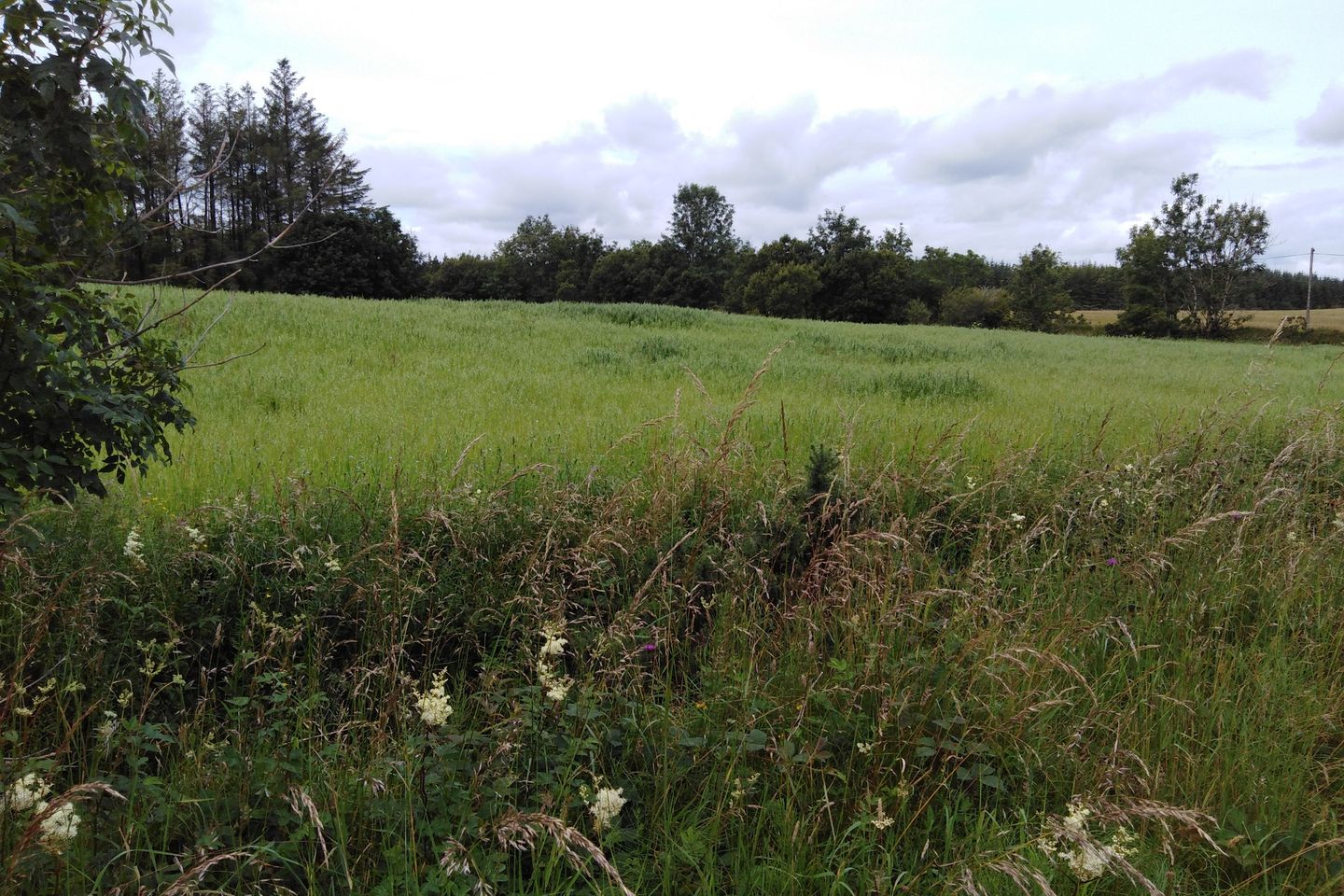 Commercial property for sale in Murneen, Claremorris, Co. Mayo