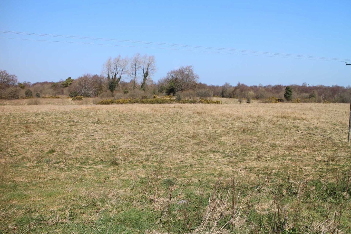 Commercial property for sale in Killavalley, Tyrrellspass, Tyrellspass