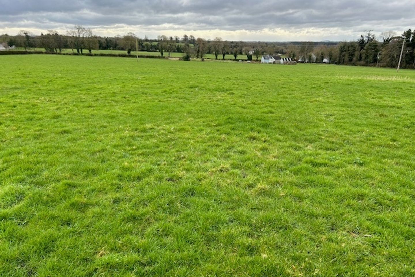 Commercial property for sale in Knockanally, Donadea, Co. Kildare, W91WYR0