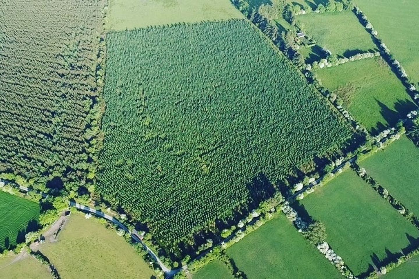 Commercial property for sale in Lyre East, Cappoquin, Co. Waterford