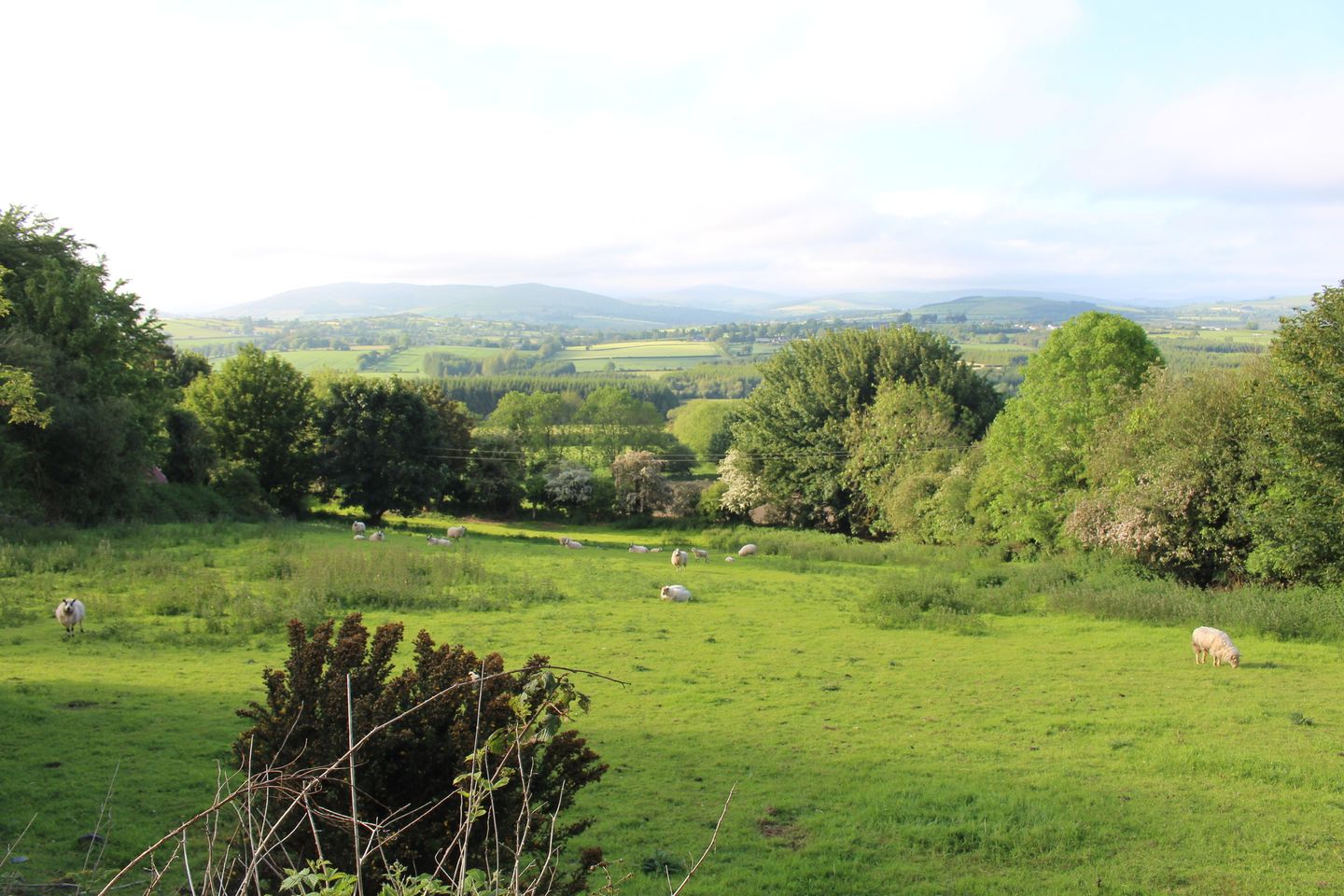 Hillbrook, Tinahely, Co. Wicklow, Y25T9X4 is for sale on Daft.ie