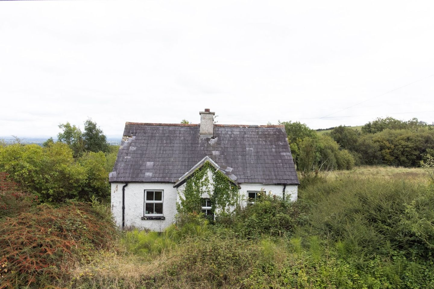 Farnans, Ballickmoyler, Arless, Co. Laois, R93R6D8