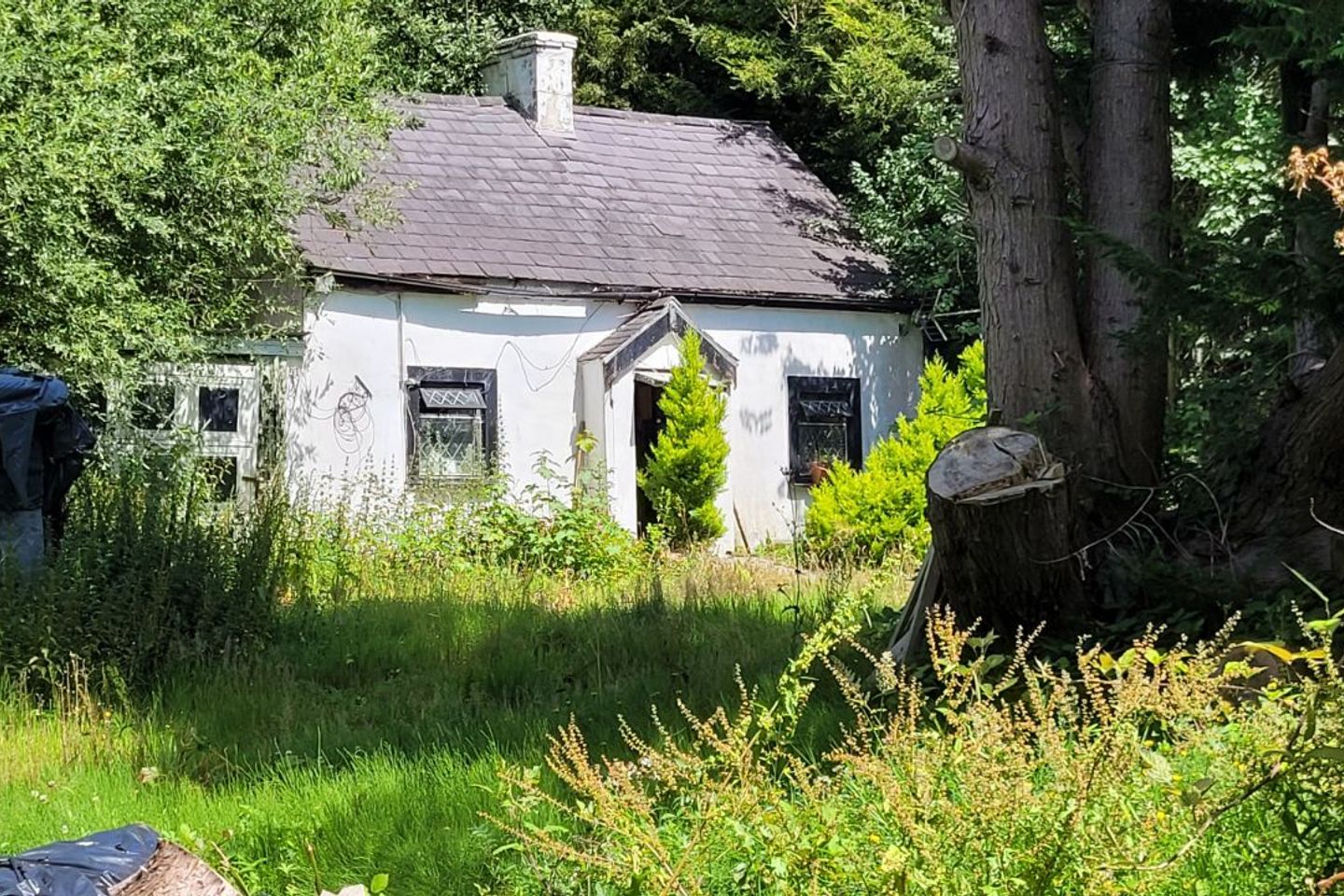 Glengar, Ballylooby, Inchnamuck, Co. Tipperary, E21E429