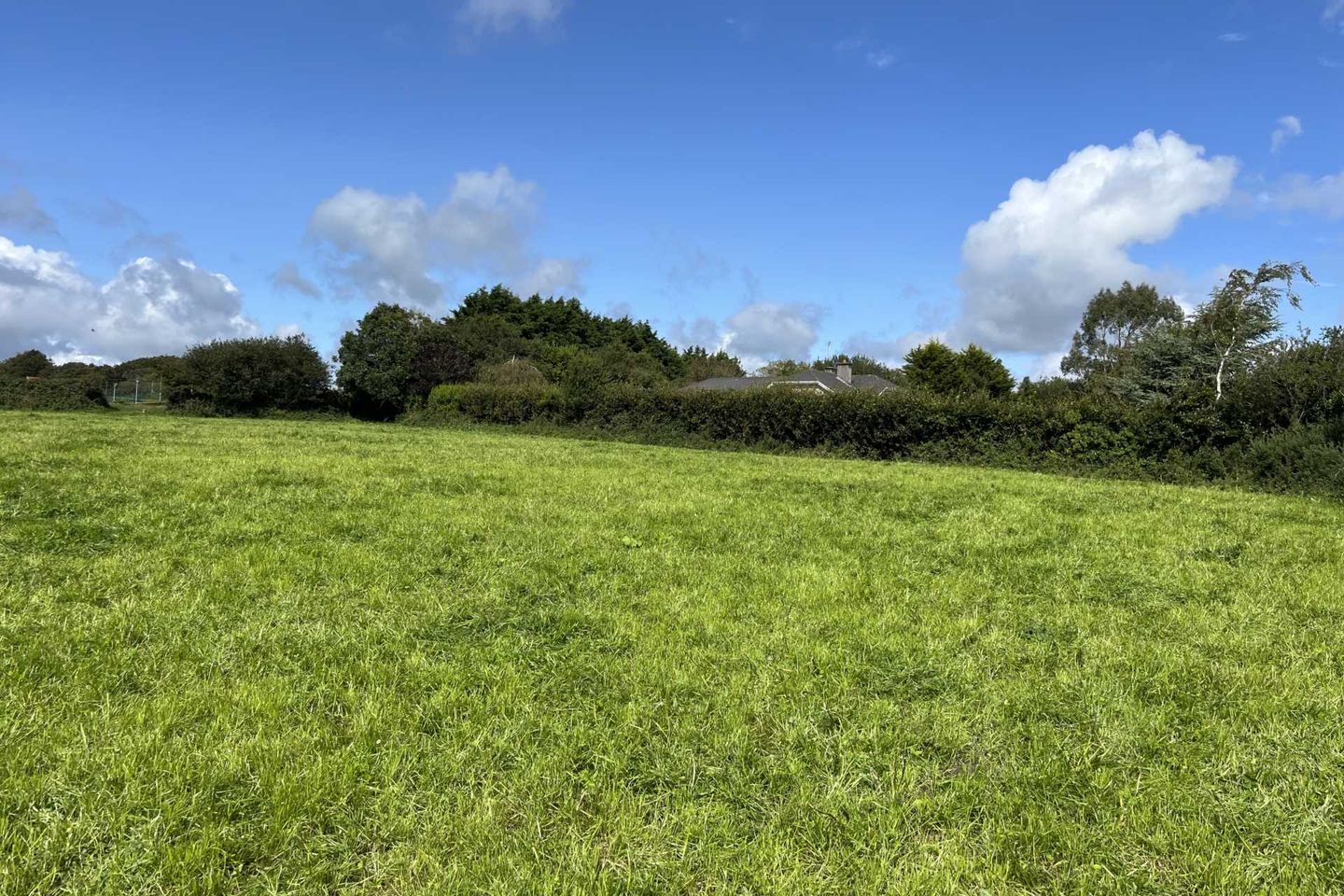 Creagh, Gorey, Co. Wexford