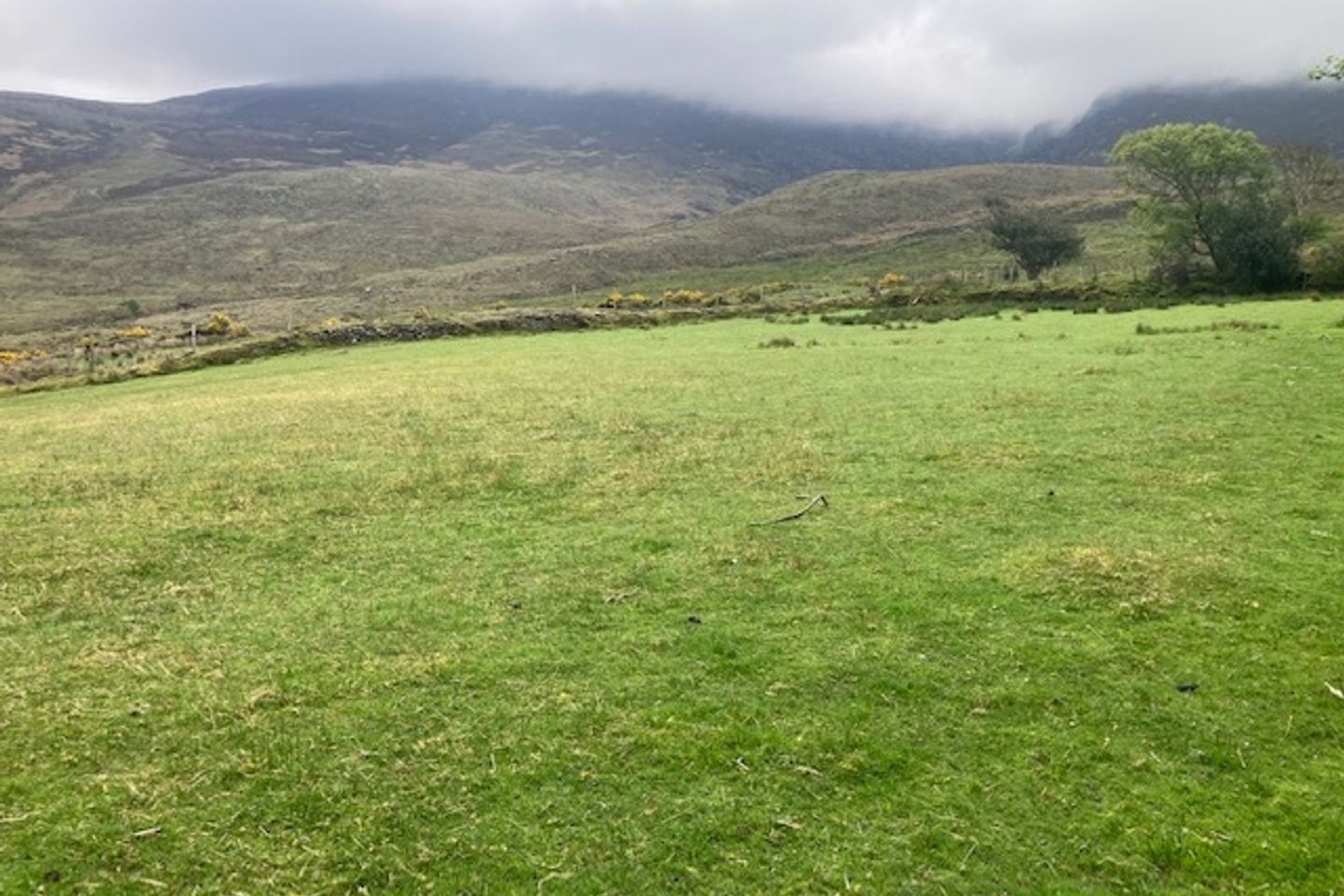 Alohert (9.2 Acres), Beaufort, Co. Kerry is for sale on Daft.ie
