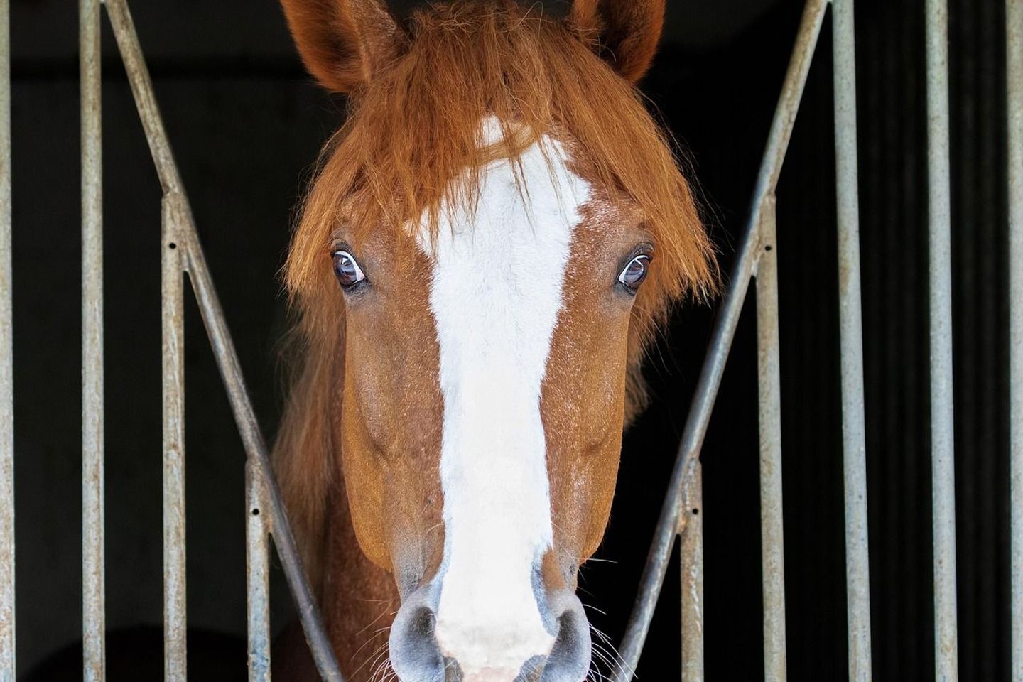 Rathbride, Newtown, Co. Kildare