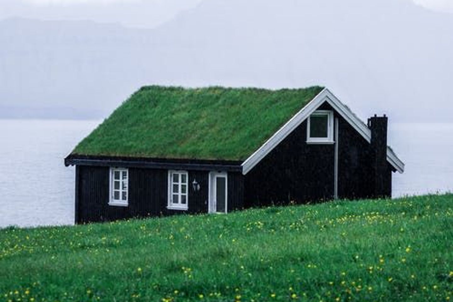 Darling Buds Of May, O'Rahilly Street, Crockets Town, Co. Mayo, F26TN12