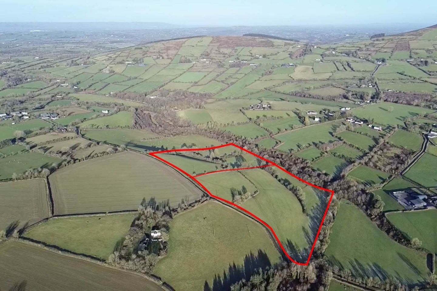 Rosdellig (C. 20 Acres), Borris, Co. Carlow