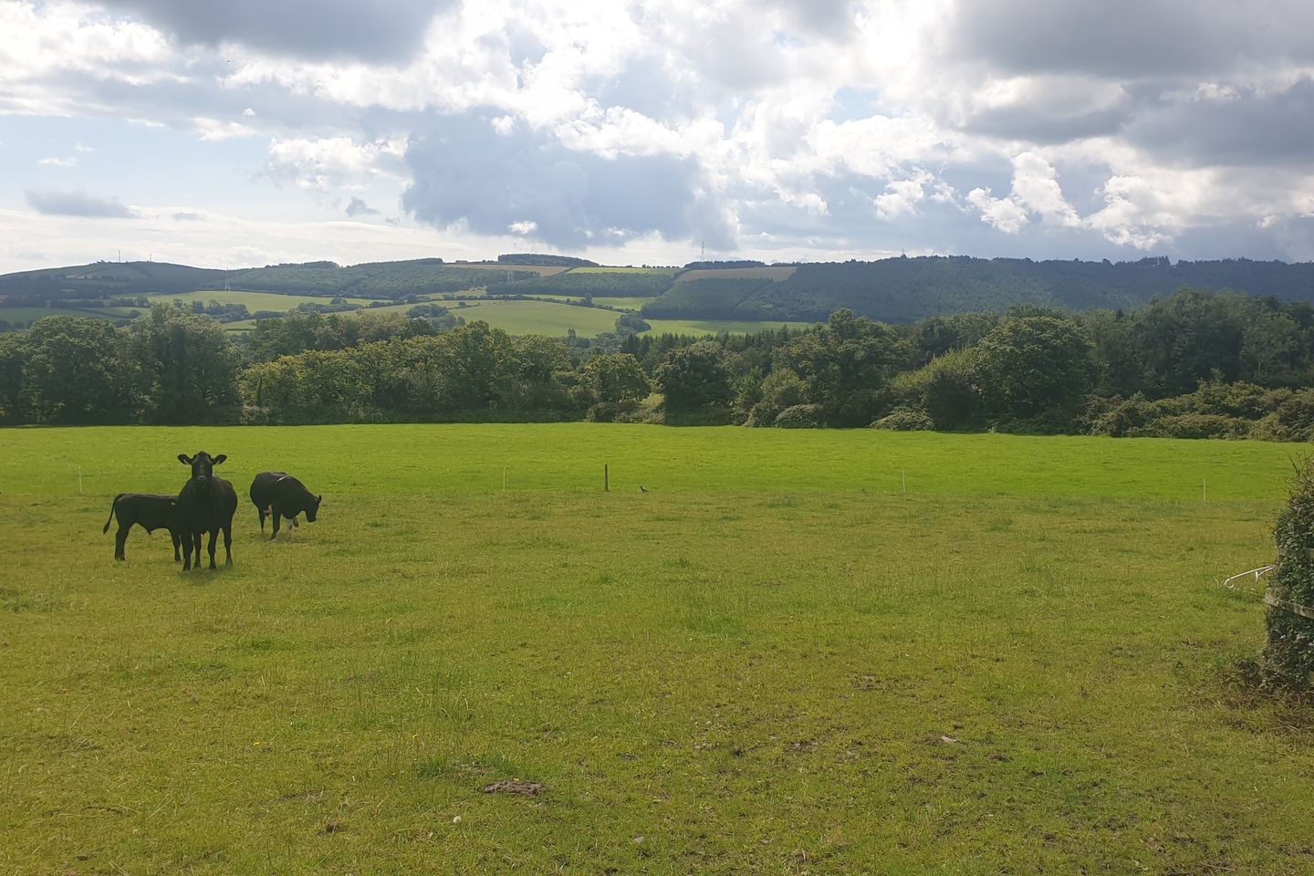 Ballyknocken Beg, Ashford, Co. Wicklow