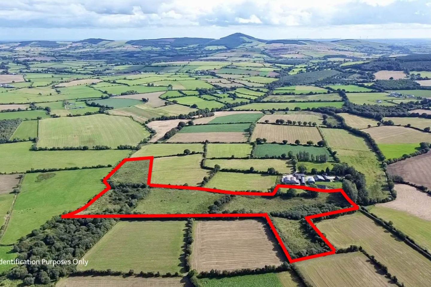 Ballingate (C. 20 Acres), Carnew, Co. Wicklow