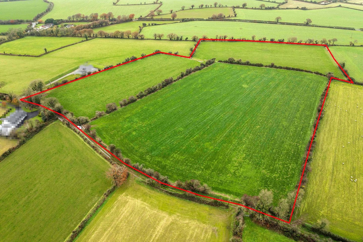 Rathurtin, Clonroche, Co. Wexford