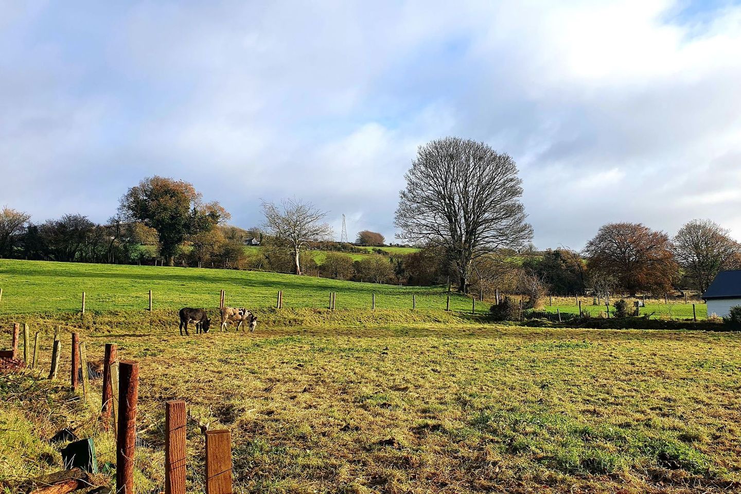 Eadestown, StratfordonSlaney, Co. Wicklow is for sale on Daft.ie