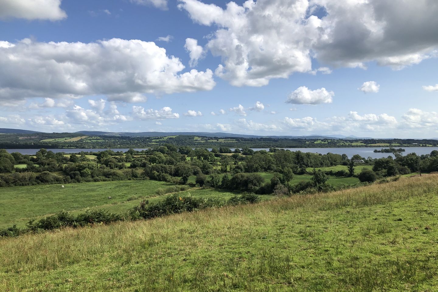 Clonfadda, Killaloe, Co. Clare is for sale on Daft.ie