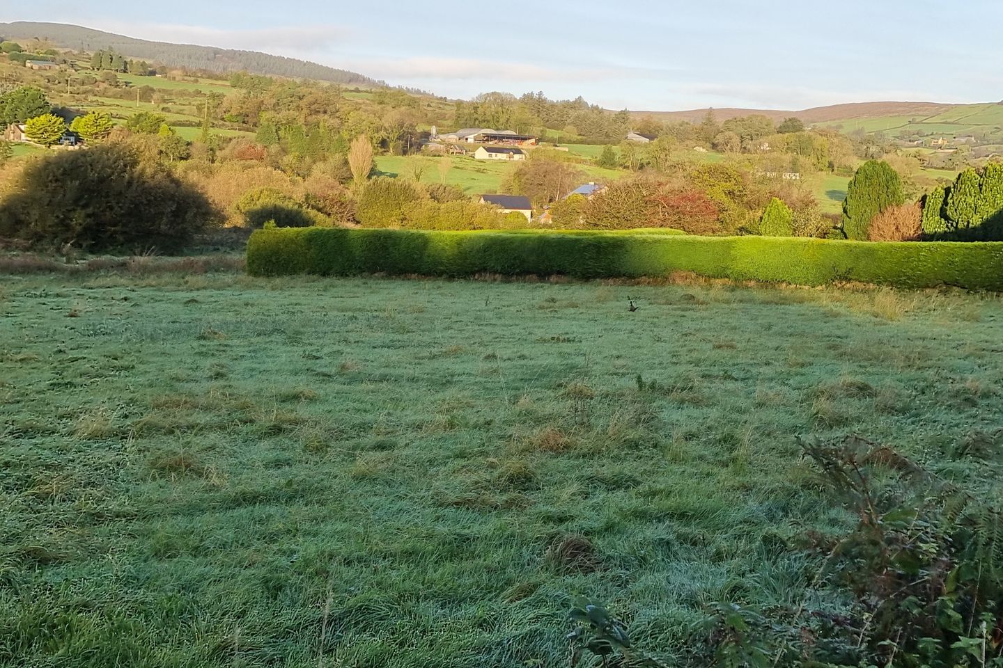 Cloghoula, Millstreet, Co. Cork