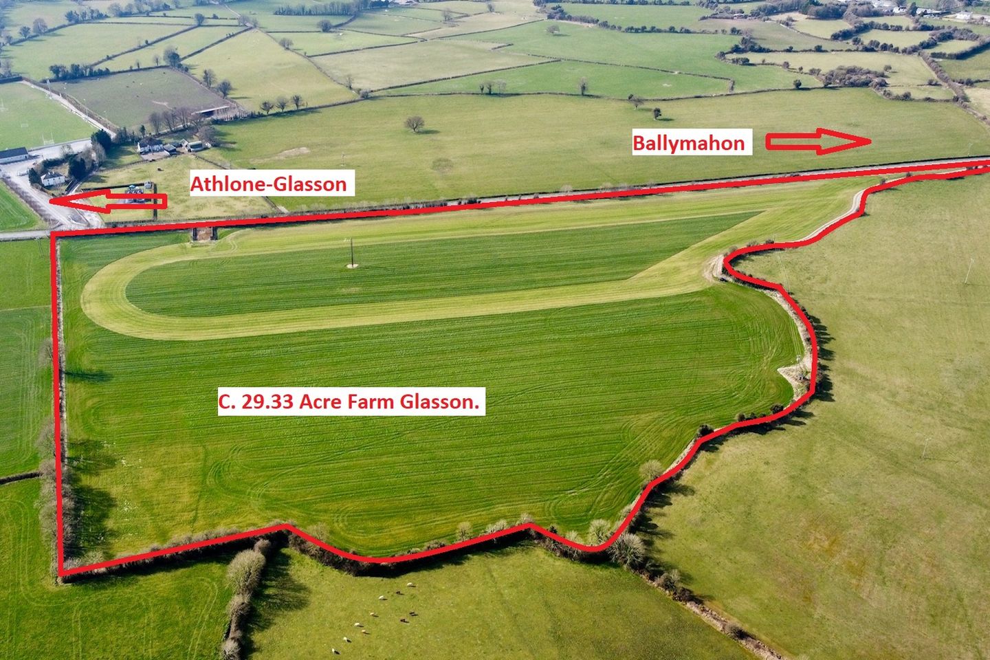 Commercial property for sale in Farrannamoreen, Glasson, Co. Westmeath