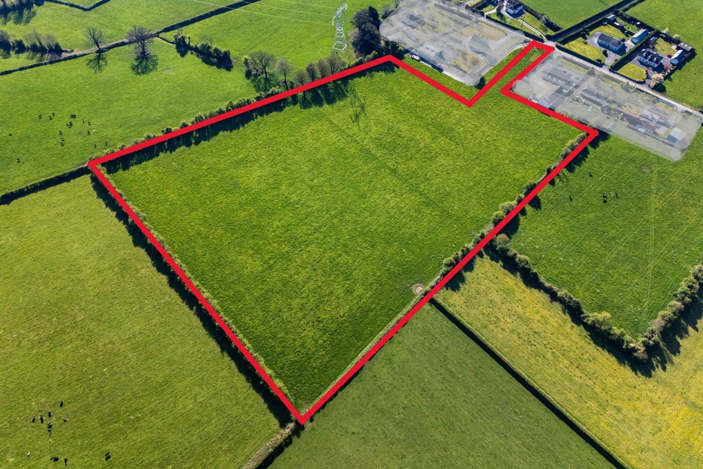 Down, Daingean, Co. Offaly