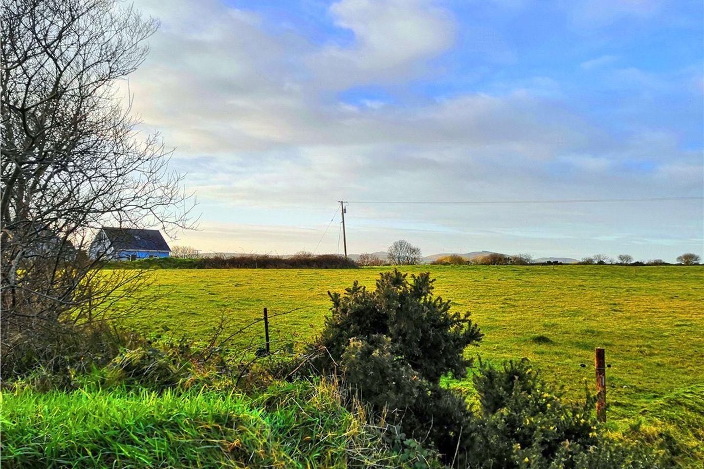 Ardea, Ballinacarriga