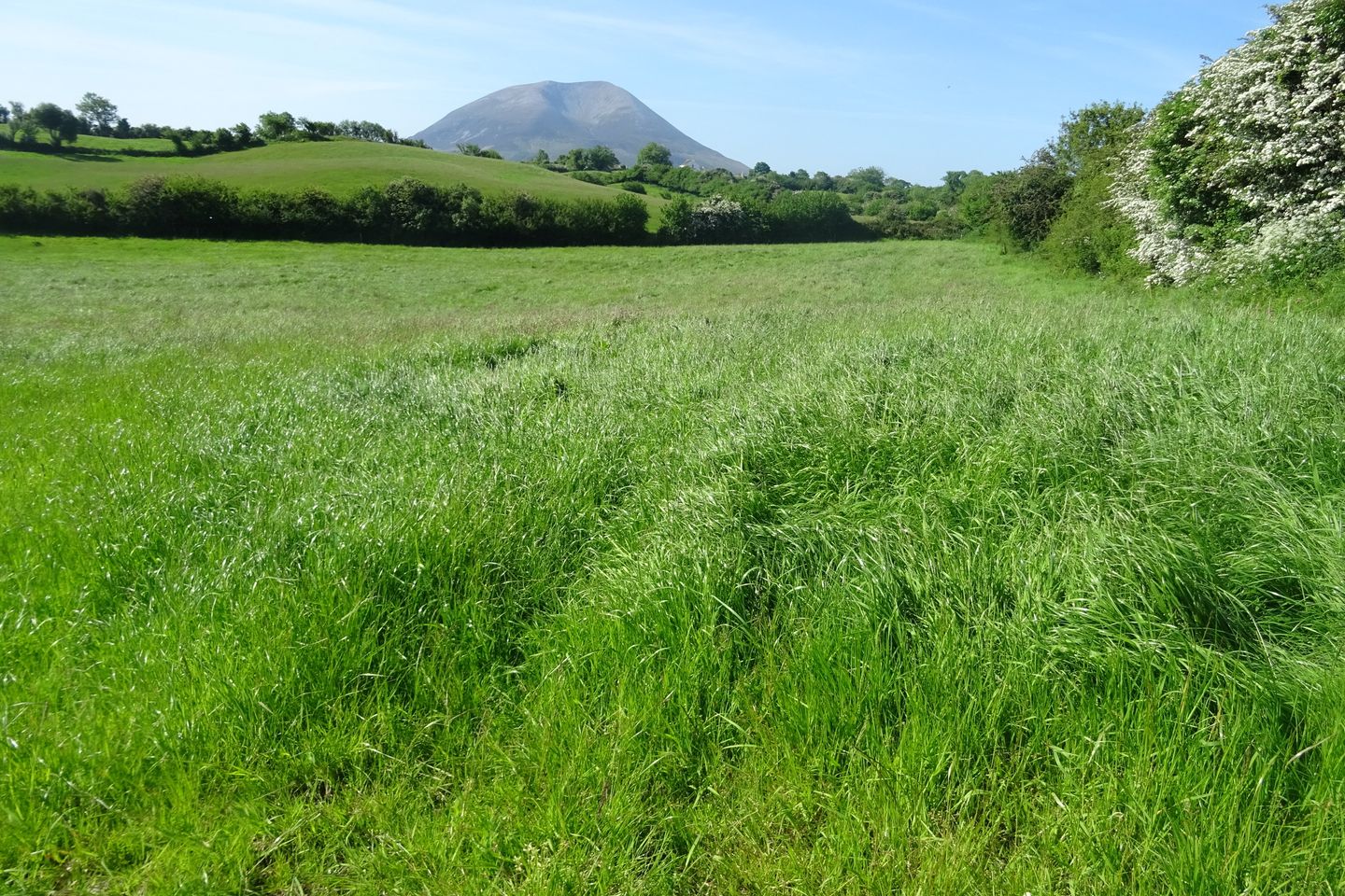 Carrowcloughy, Crossmolina, Co. Mayo