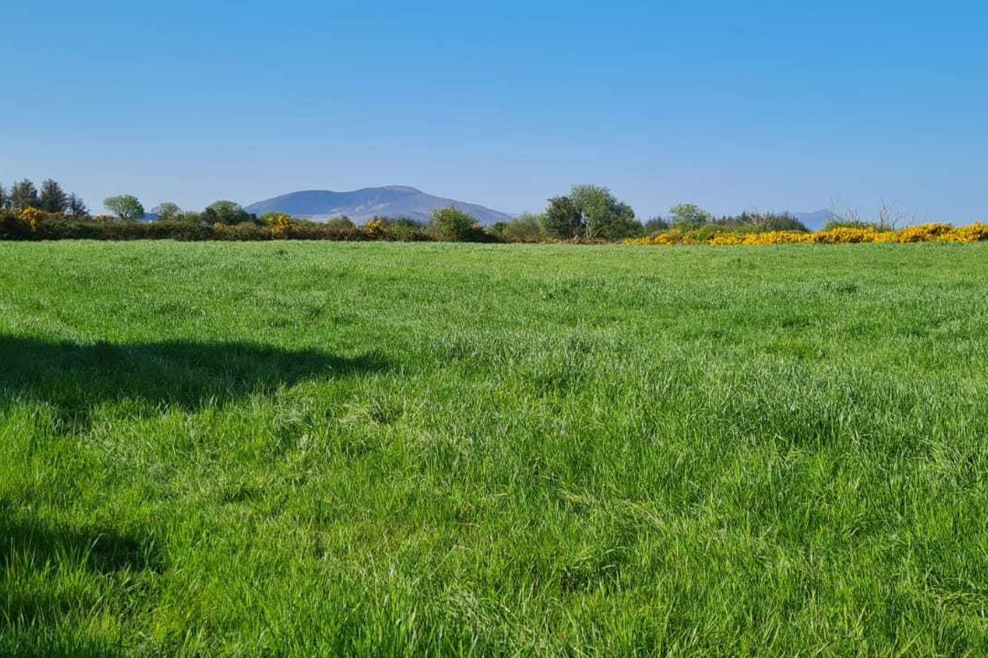 Upper Tullig Beg, Killorglin, Co. Kerry