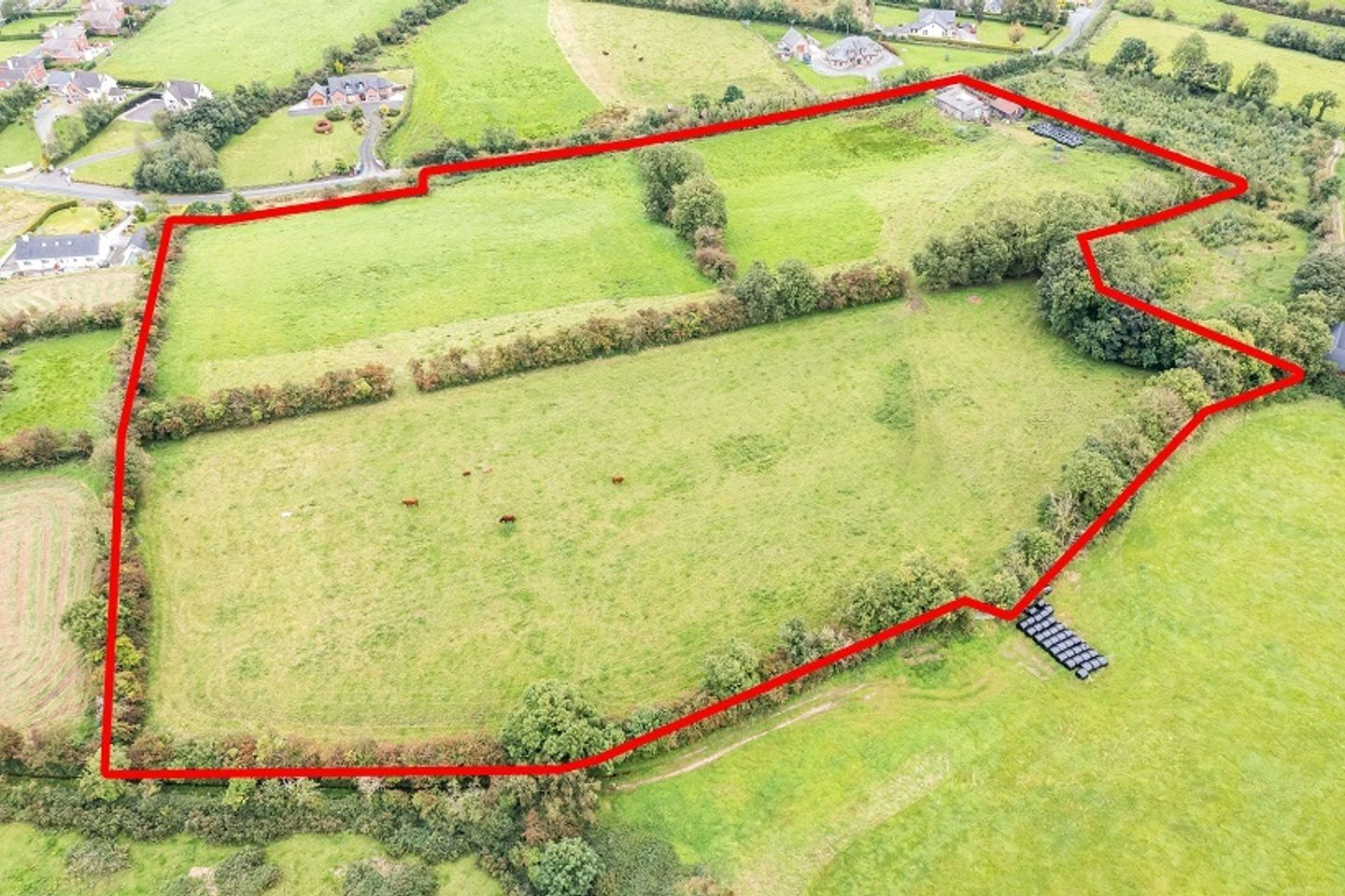 Galbolie, Bailieborough, Co. Cavan, A82YX58 is for sale on Daft.ie