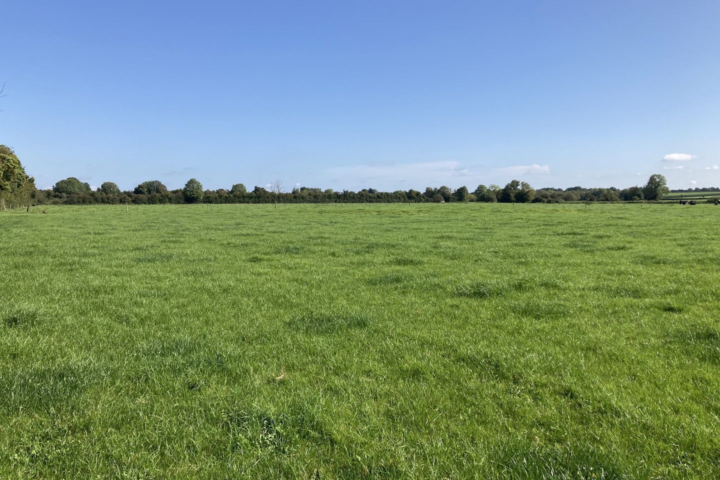 Commercial property for sale in Monamoe, Holycross, Thurles, Co. Tipperary